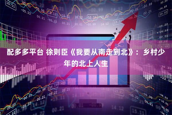 配多多平台 徐则臣《我要从南走到北》:乡村少年的北上人生